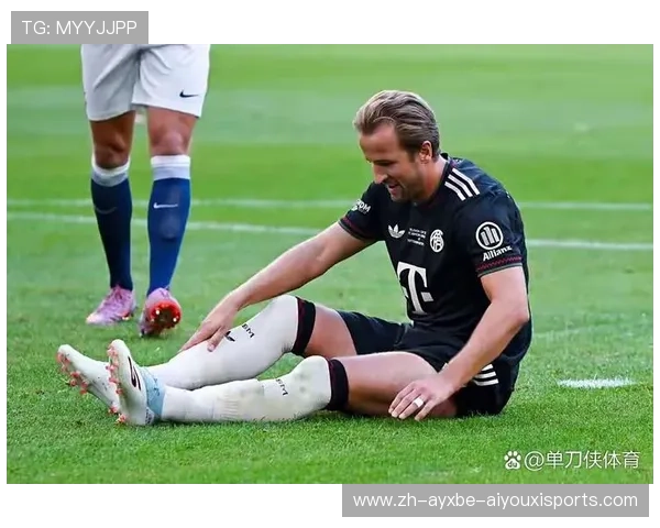 德甲球队常见绰号的由来及文化背景详解